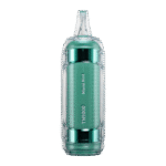 Miami Mint Flavor RAZ TN9000 Disposable Vape - Image 2